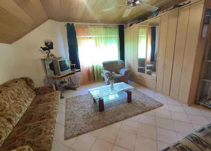 In - Balaton 50631 *